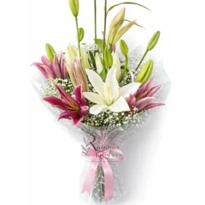 Blushing Lily Beauty