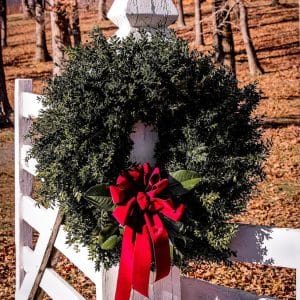 christmas wreath, gate, boxwood wreath, decoration, farm entrance, red ribbon, christmas wreath, christmas wreath, christmas wreath, christmas wreath, christmas wreath