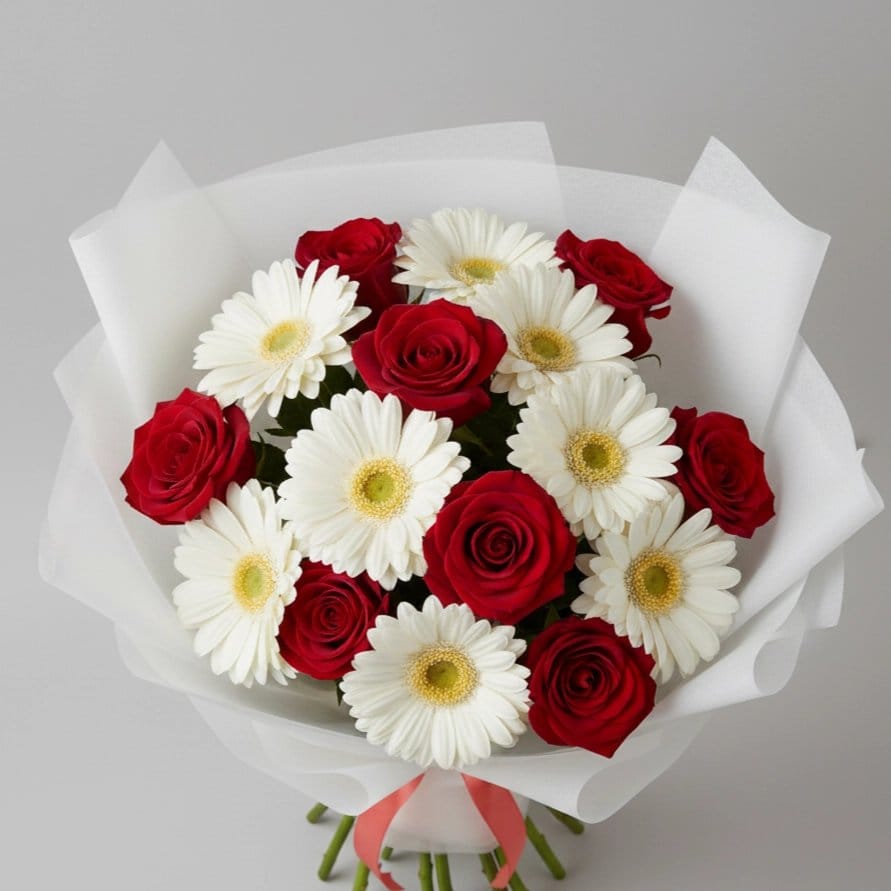 Red White Classic - Image 2