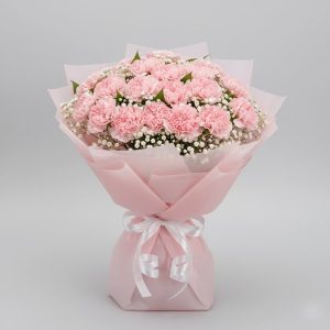 Blush Pink Carnations