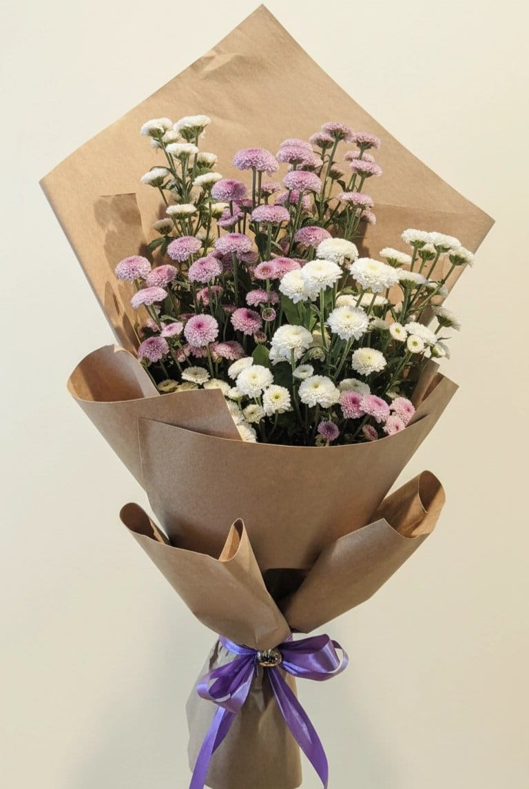 Mixed Chrysanthemums