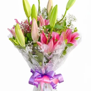 Pink Lily Grace