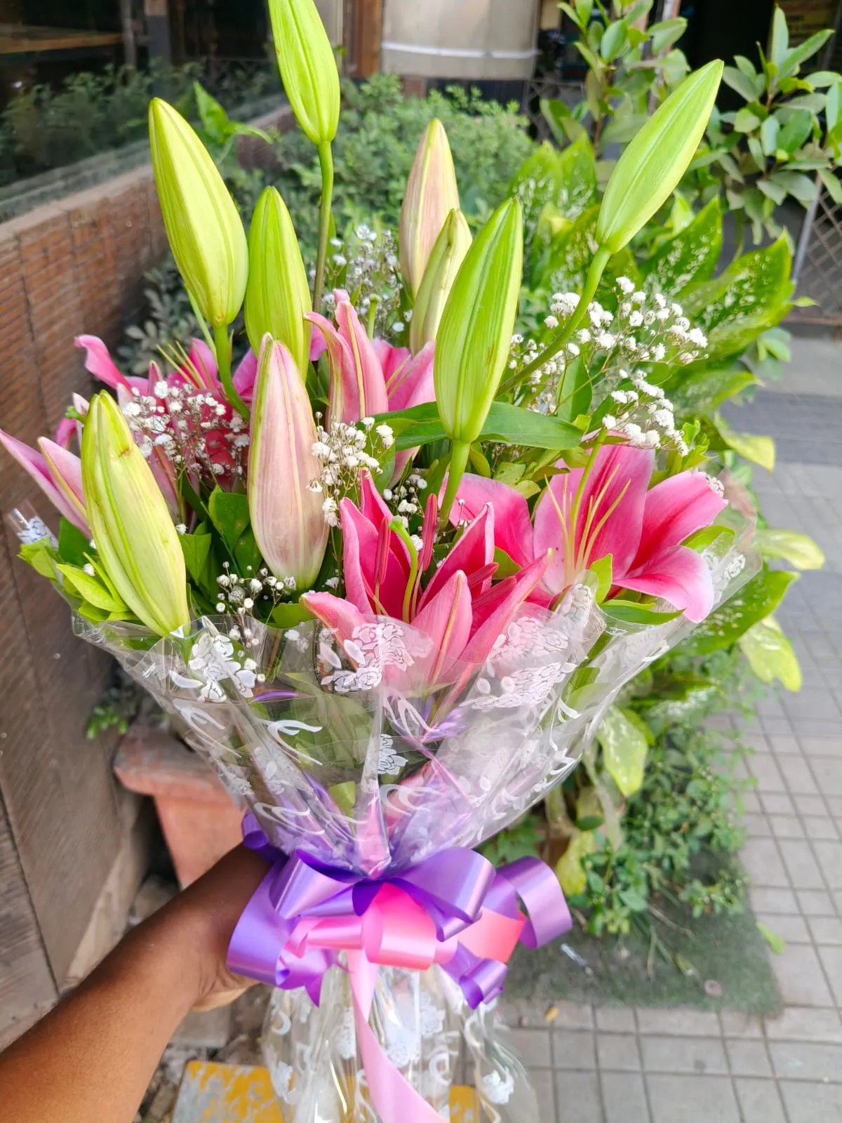 Pink Lily Grace - Image 2