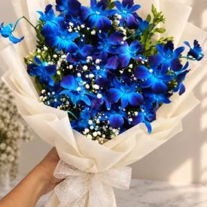 Blue Bloom Orchid