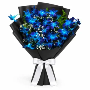 Royal Blue Orchid